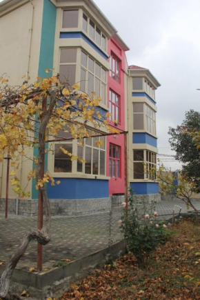 Colour, Baku